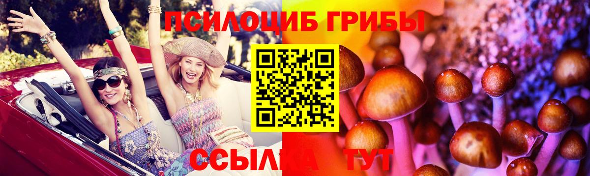 Псилоцибиновые грибы Psilocybe  магазин    Волжск  Вход с VPN 