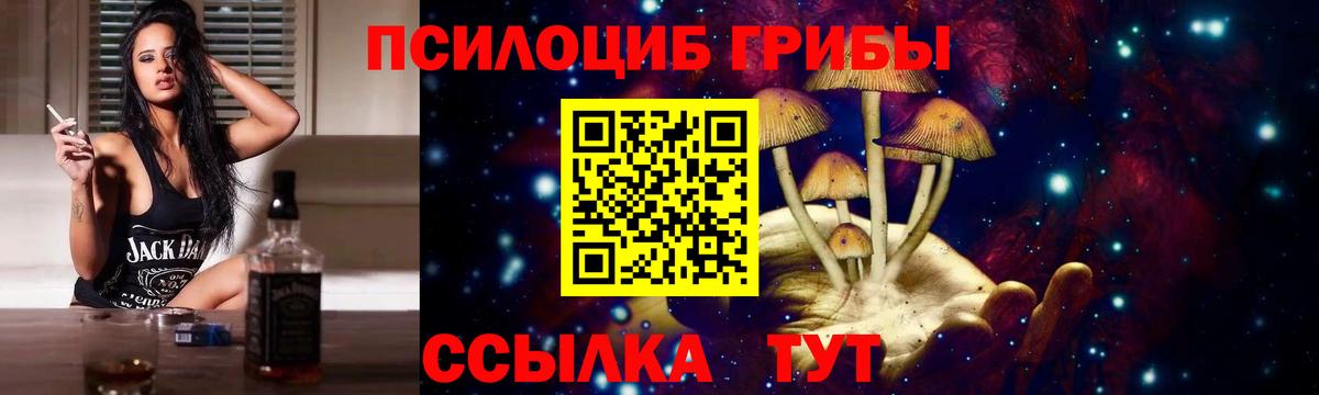 Псилоцибиновые грибы мицелий Волжск